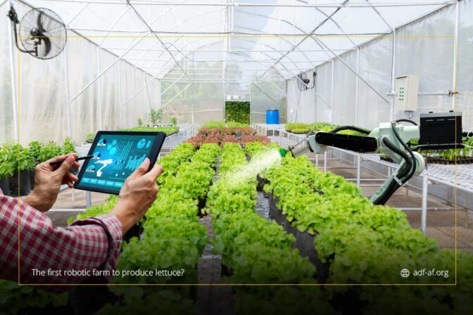 What could we learn from the first robotic farm to produce lettuce?