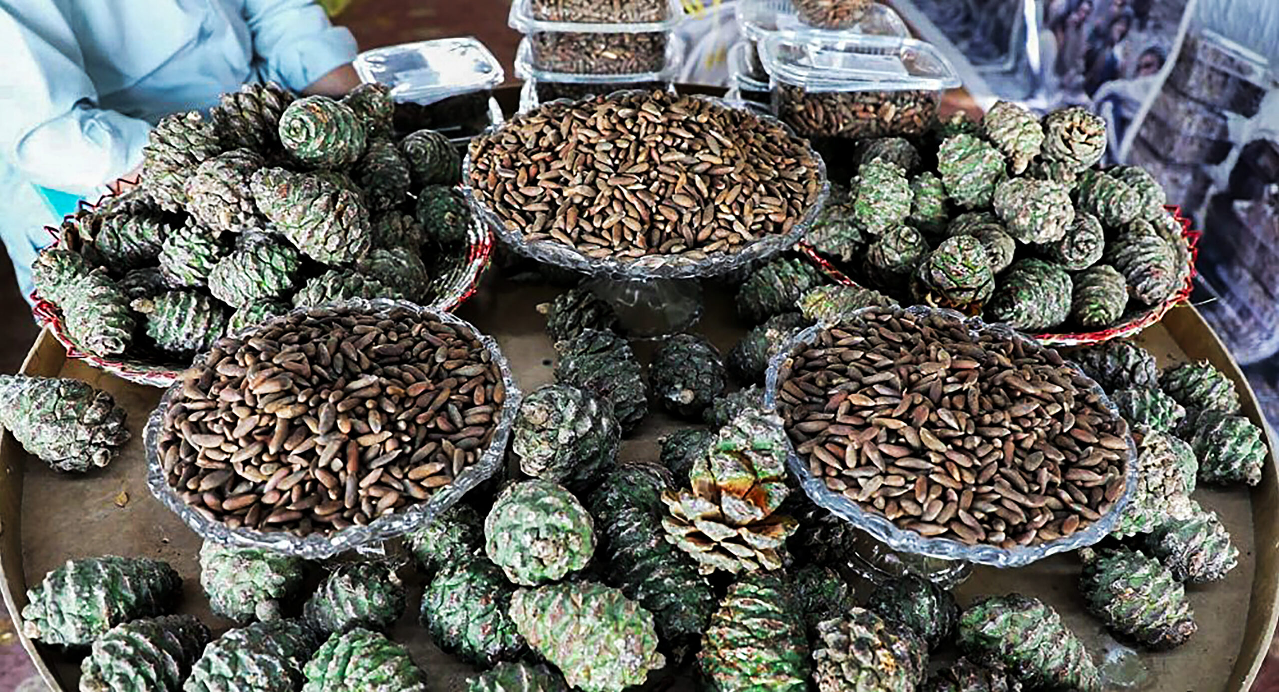 جلغوزه   دانه های سیاه، با ارزش بلند