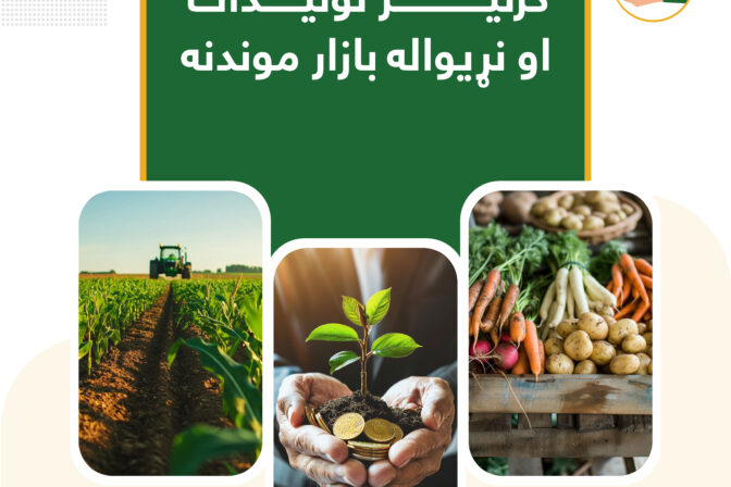 کرنیز تولیدات او نړیواله بازار موندنه