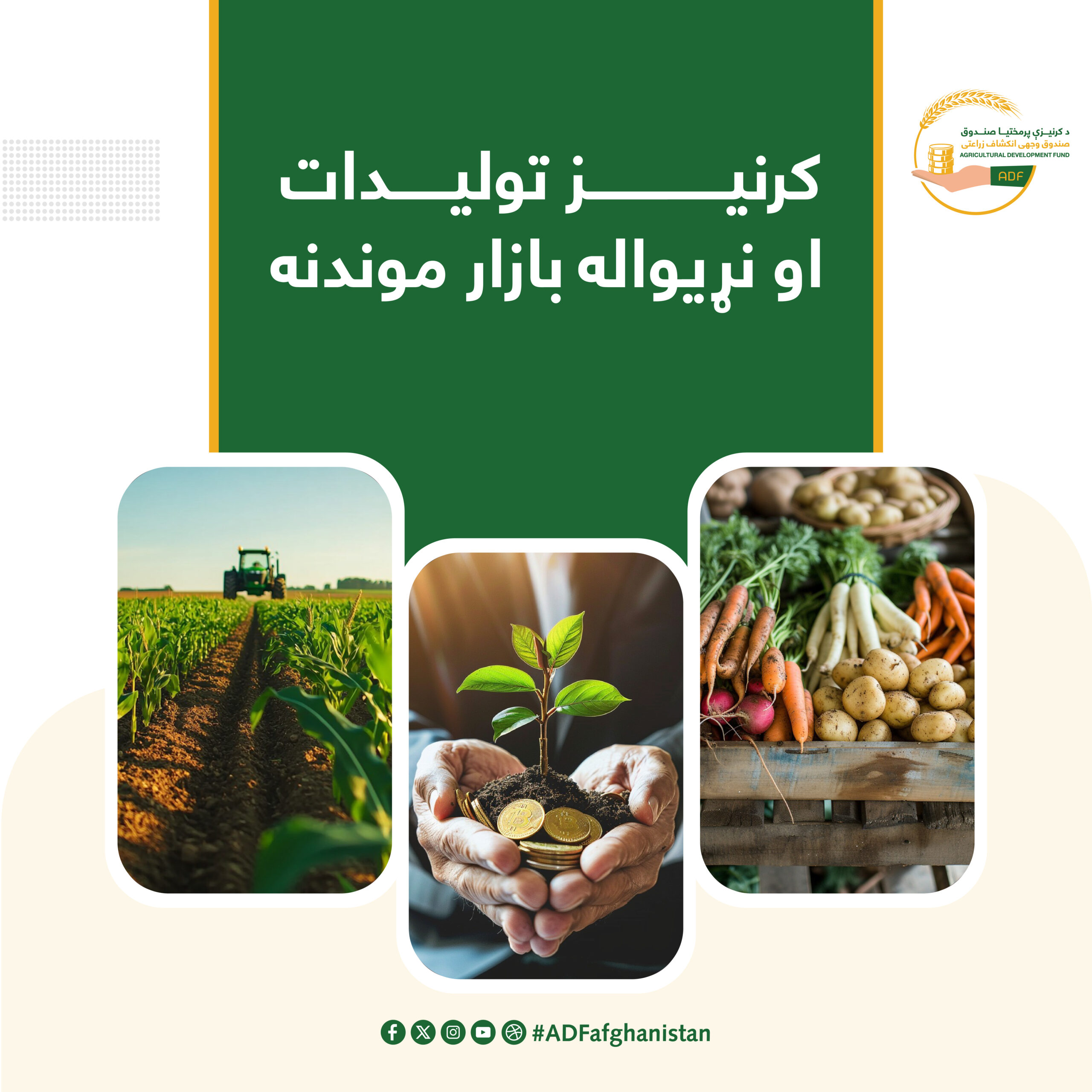 کرنیز تولیدات او نړیواله بازار موندنه