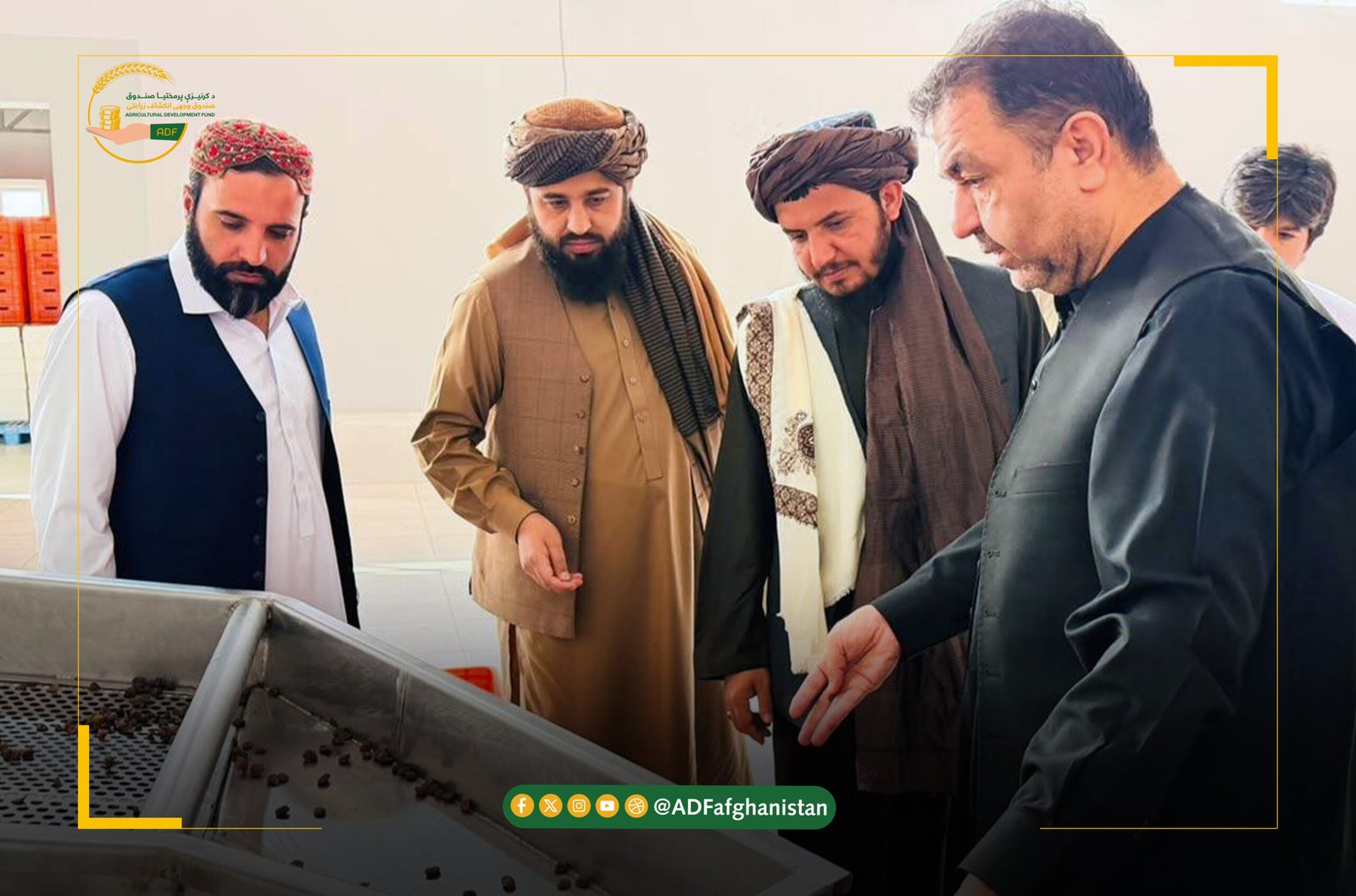 د خوشه شرکت څخه د کرنیزې پرمختیا صندوق پلاوي لیدنه